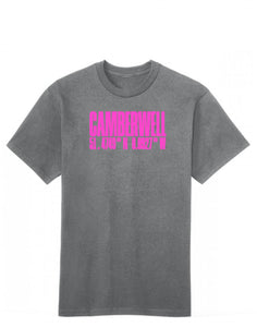 PINK AND GREY CAMBERWELL COTTON T-SHIRT